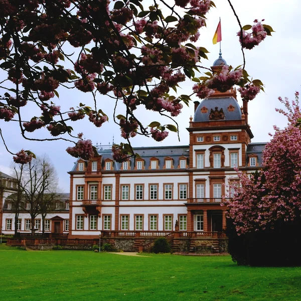 Printemps dans le parc du château de Phillipsruhe à Hanau — Photo