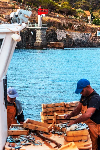 Fischerboot mit frischem Fisch im Mittelmeerhafen — Stockfoto