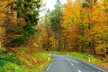 sonbahar dağlarında orman yolu