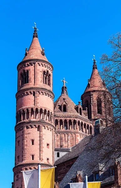 Katedrála kaiserdom Worms, Německo — Stock fotografie