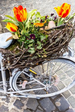 Bahar dekorasyon eski Bisiklet