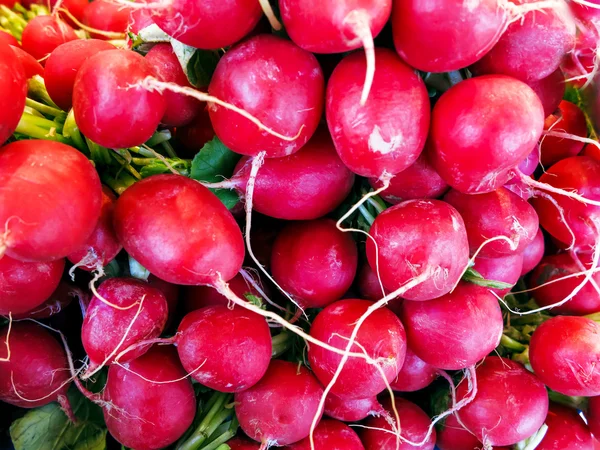 Rábanos rojos frescos —  Fotos de Stock