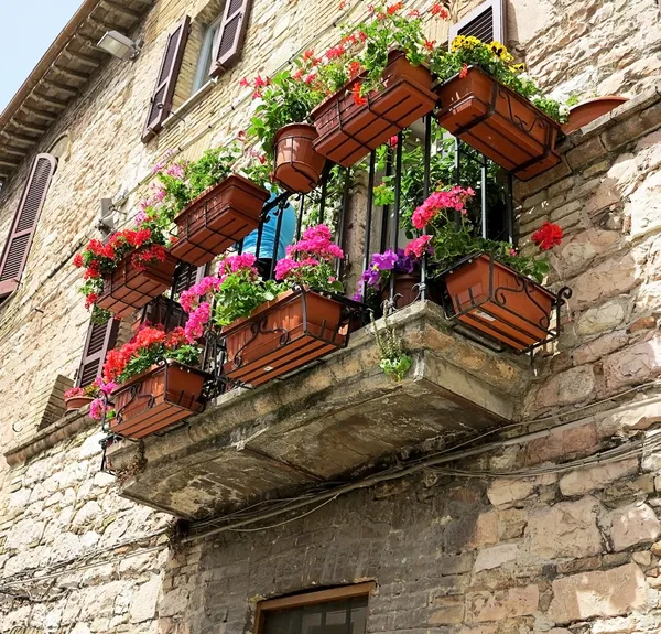 Barevné květy na balkóně v středověké assisi — Stock fotografie
