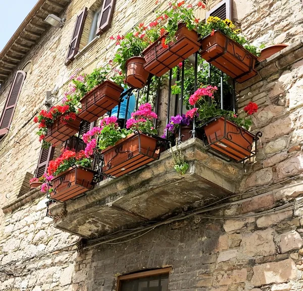 Flores de colores en el balcón en Asís medieval —  Fotos de Stock