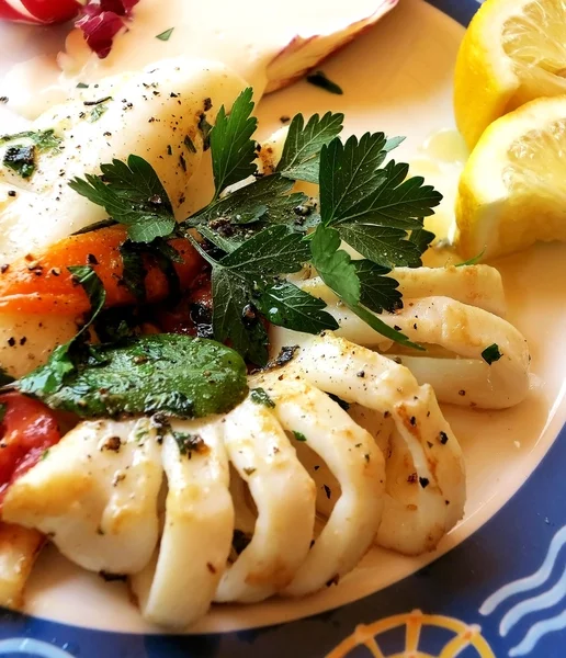 Italian grilled squids — Stock Photo, Image