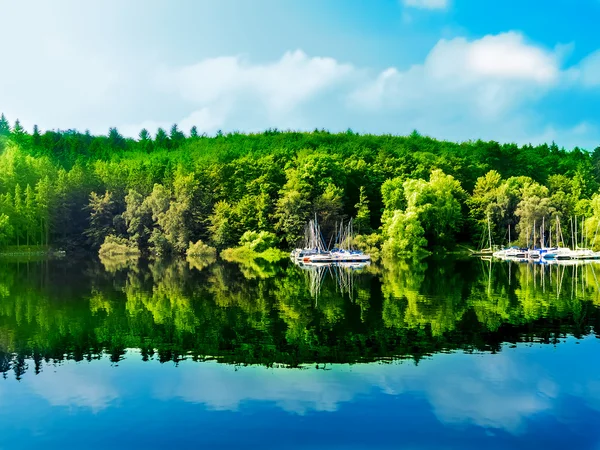 Reflexão floresta verde na água do lago azul — Fotografia de Stock