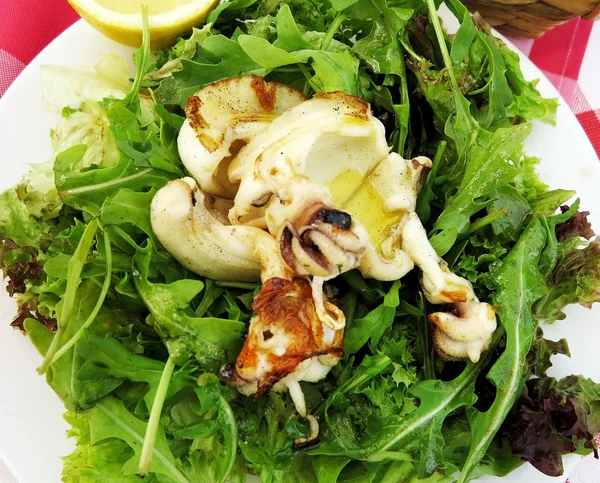 Italiaanse gegrilde inktvis op rucola salade — Stockfoto