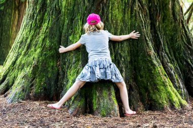 Sequoia tam zafer