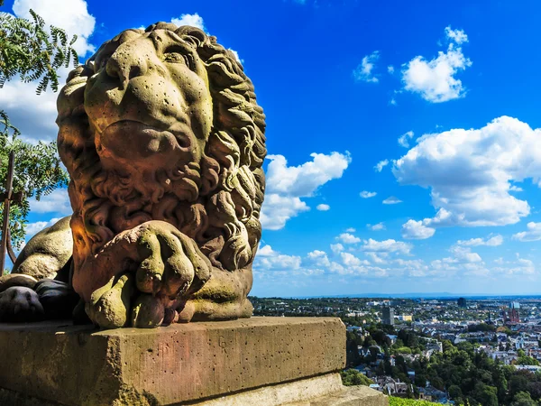 Neroberg i Wiesbaden, Tyskland - Stock-foto