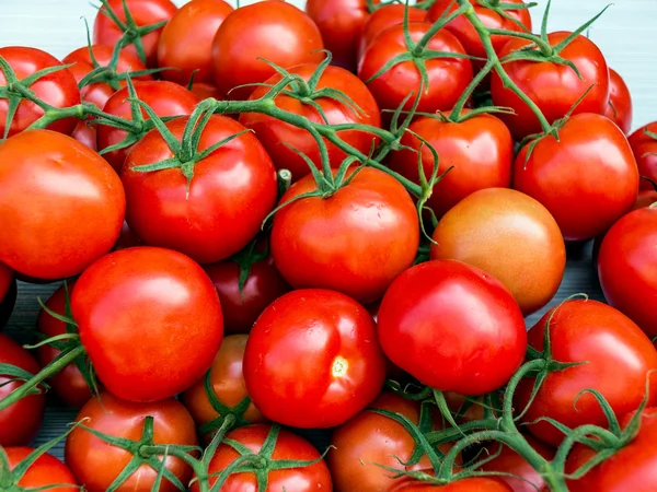 Kırmızı olgun domates — Stok fotoğraf