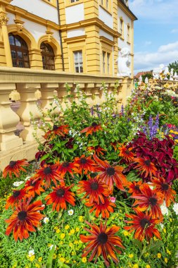 Ekinezya kale Bahçe