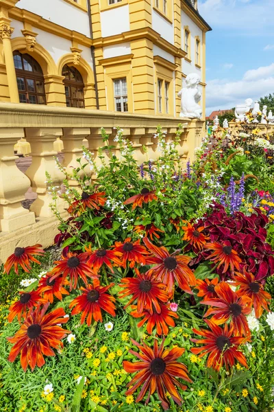 Echinacea in a castle garden — Stock Photo, Image