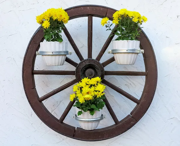 Rotella decorata con fiori — Foto Stock