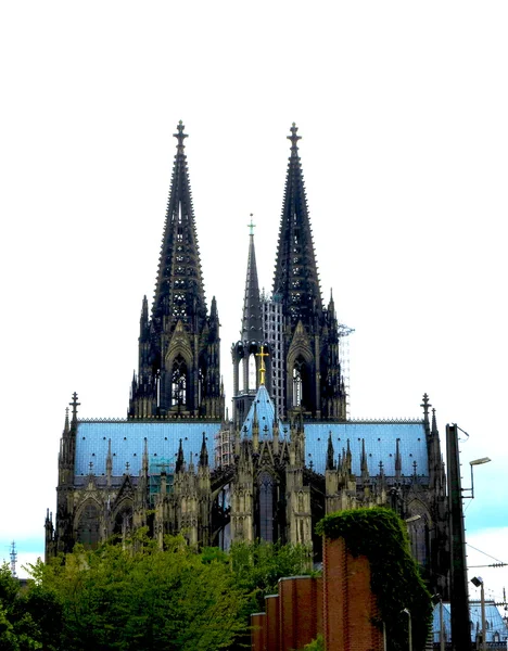 Kathedraal in Keulen, Duitsland — Stockfoto