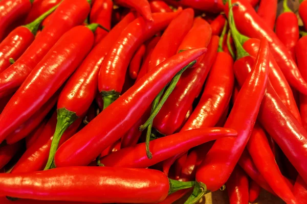 Červené chilli papričky — Stock fotografie