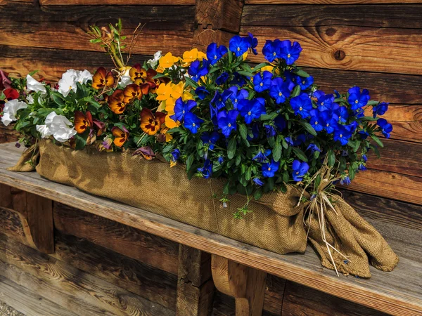 Décoration de fleurs au chalet en bois — Photo