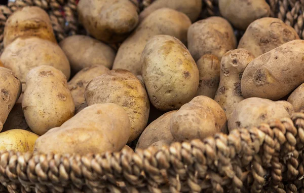 Potatoes in basket — Stock Photo, Image