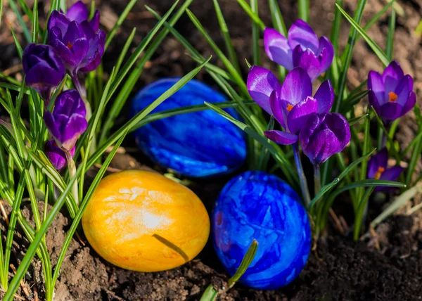 Huevos de Pascua en un jardín — Foto de Stock