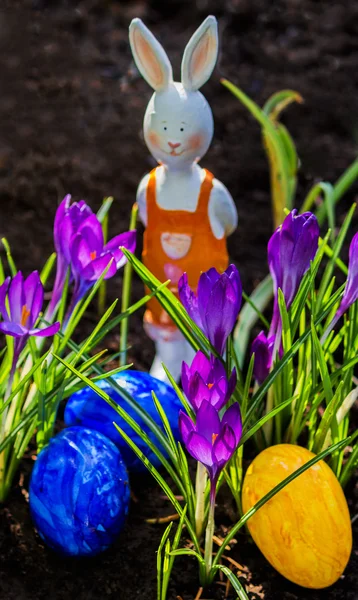 Easter eggs and Easter bunny in a garden — Stock Photo, Image