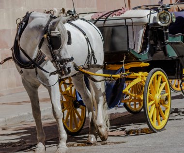 horst çizilmiş taşıma