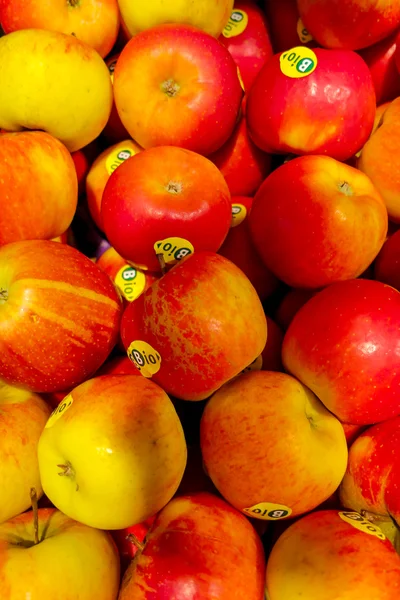 Red and yellow Topaz apples — Stock Photo, Image