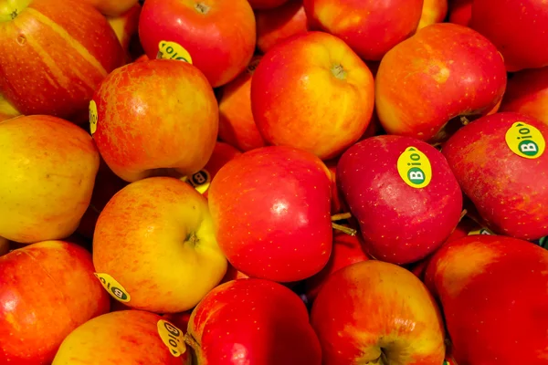 Red and yellow Topaz apples — Stock Photo, Image