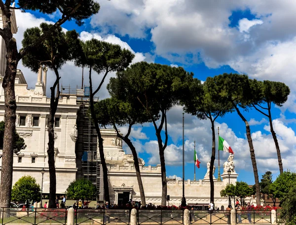 Сосны в Риме, рядом с площадью Пьяцца — стоковое фото