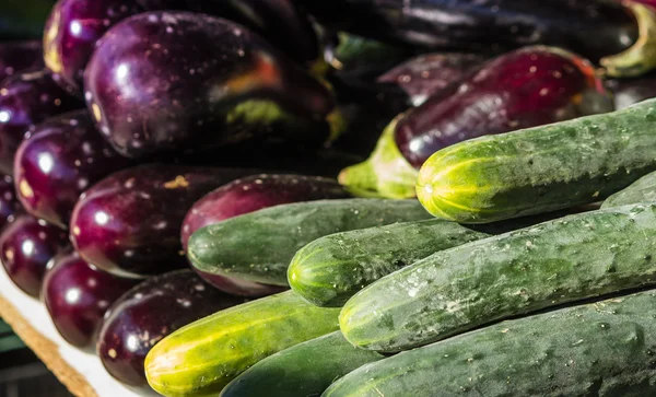 Fresh cucumbers and eggplants — Stock Photo, Image