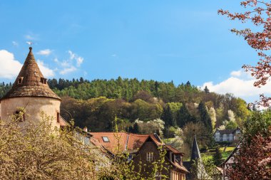 Ortaçağ kenti buedingen, Almanya