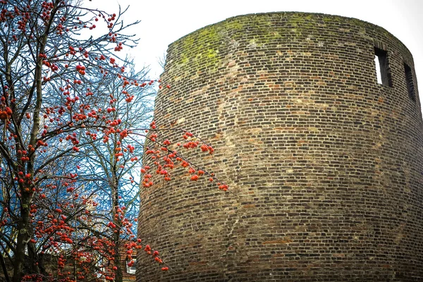 Resterna av den romerska stadsmuren i Köln — Stockfoto