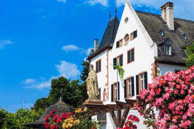 Gül eltville kenti am rhein, rheingau, Almanya en büyük şehirde