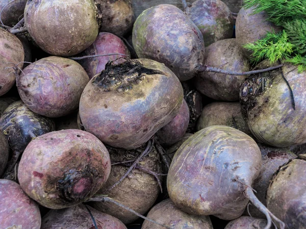 Beets — Stock Photo, Image