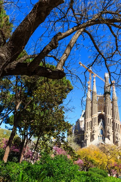 Barcelona - Lente in het park in de buurt van kathedraal La Sagrada Familia — Stockfoto