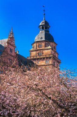 Aschaffenburg Sarayı'nda ana nehir, Bavyera, Almanya