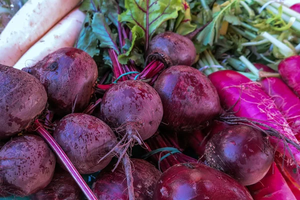 Beets and radish — Stock Photo, Image