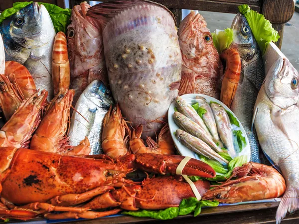 Mediterranean seafood delicacies offer — Stock Photo, Image
