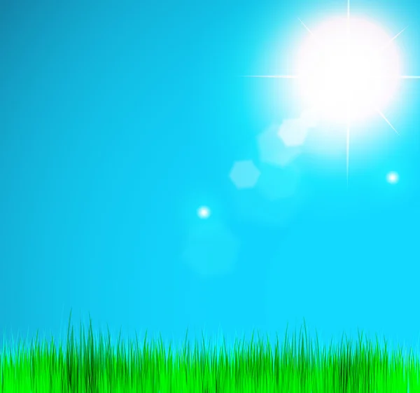 Fond du ciel naturel avec soleil et herbe . — Image vectorielle