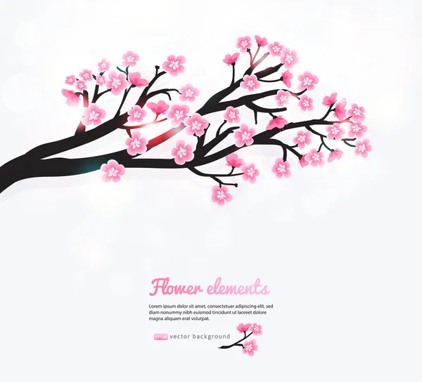 Spring card with stylized pink cherry blossom. — Stock Vector
