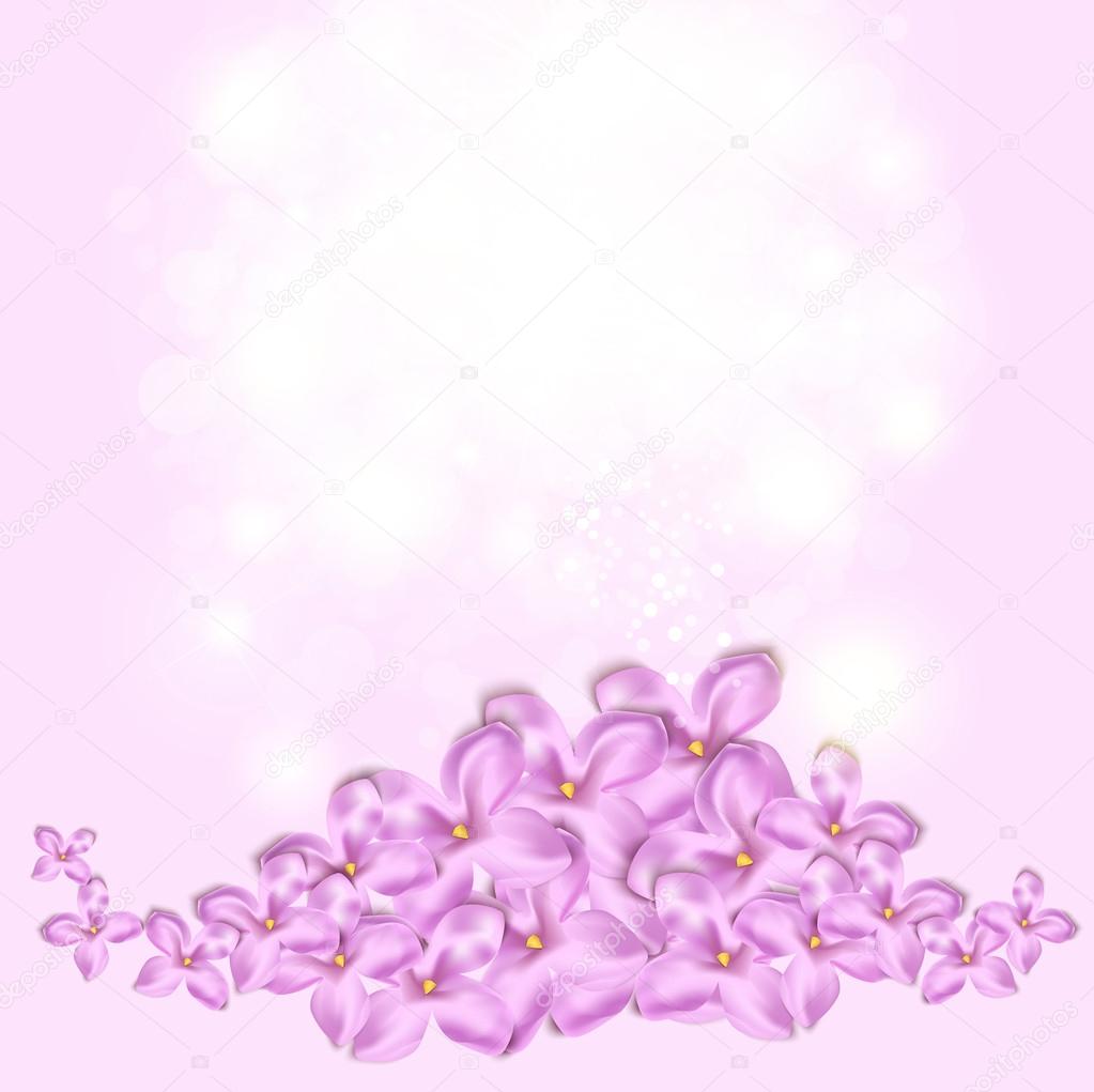 Spring background with lilac flowers.