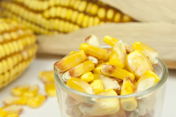 Cobs and corn — Stock Photo, Image