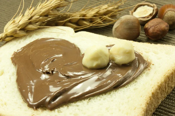 Chocolate cream — Stock Photo, Image