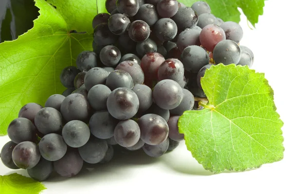 Bunches of grapes — Stock Photo, Image