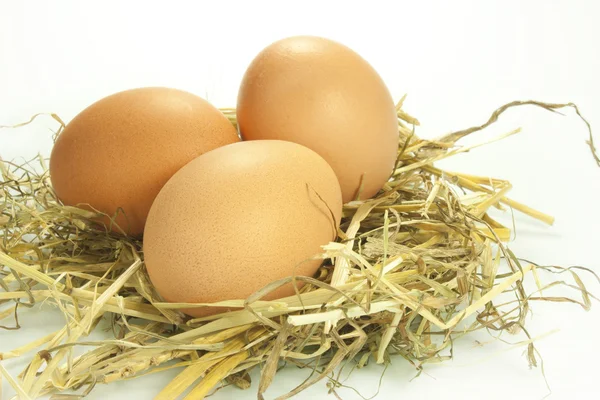 Eggs in the straw — Stock Photo, Image