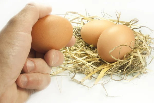 Eggs in the straw — Stock Photo, Image