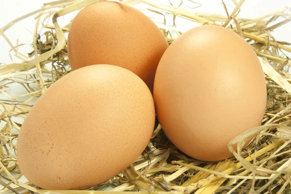 Eggs in the straw — Stock Photo, Image