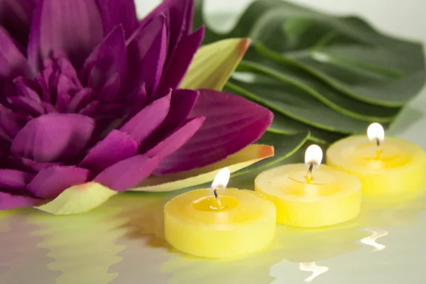 Kerzen und Seerose — Stockfoto