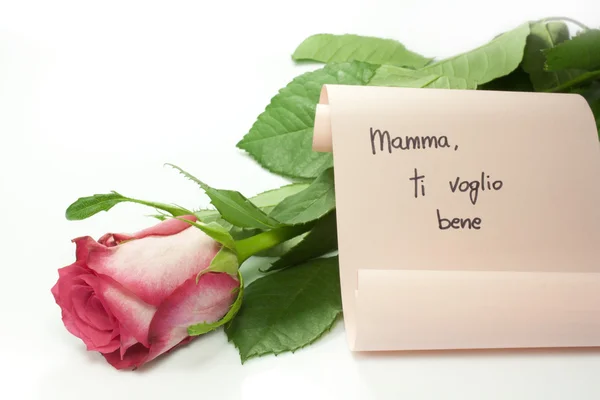 Mother's Day — Stock Photo, Image