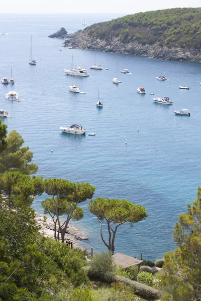 Sea island of Elba — Stock Photo, Image