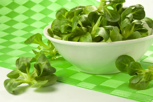 Green salad — Stock Photo, Image