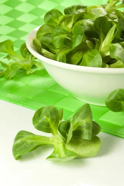 Insalata verde — Foto Stock